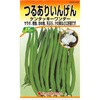 【タネ】つるありいんげん ケンタッキーワンダー カネコ種苗