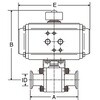 2BV-PS SUS316L自動2方ボールバルブ PK=PTFE ヘルール 大阪サニタリー 18355420