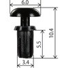 MS69-10 XYL^Cv Nbv Modes 18389309