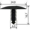 MS77-10 XYL^Cv Nbv Modes 18389336