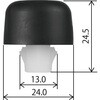 MS79-10 XYL^Cv Nbv Modes 18389571