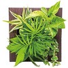 観葉植物 FRAME ミドリエデザイン