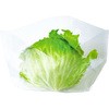 レタス1玉用 舟底袋 精工