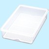 K-184802 �ۑ��e��V�X�e�} ����(�ڎM�t��) ��荇������ 18461817