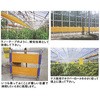 ホリバーロール