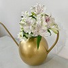 CYF956023 EH[^[J CLOVER(N[o[) 18520899