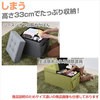 GLS-76(LGR) [Xc[ [{bNX YAMAZEN(RP) 18641115