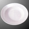 メラミン食器 カレー皿