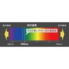 029 sN}[u GM LIVE 2 }A(YAMASHITA) 18676510