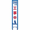 18775043