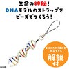 93429 DNAストラップ作り アーテック[学校教材・教育玩具] 18791282