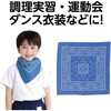 1241 バンダナ アーテック[学校教材・教育玩具] 18794457
