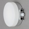 BR5L-CIPLS-SB LEDポーチ灯 人感センサー付 丸型 アイリスオーヤマ 18799104