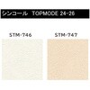 yI[_[zʎYǎNX TOPMODE2024-2026 STM746`STM747 Ζڒ
