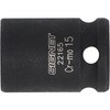 22165 CpNg \Pbg SIGNET(VOlbg) 18893105