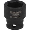 22169 CpNg \Pbg SIGNET(VOlbg) 18893148