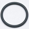 OO (CpNg\Pbgp)