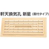 軒天 新星 MIZUKAMI(水上)