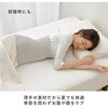 - VN̍D C_C 19009536