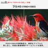 PX160WAVE-O PX160 Wave |[^uj^[ 15.6C` 60Hz FHD IPSpl 8ms(GTG) Pixio 19011591