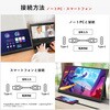 PX160WAVE-O PX160 Wave |[^uj^[ 15.6C` 60Hz FHD IPSpl 8ms(GTG) Pixio 19011591