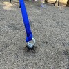 19039250