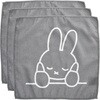 miffy }CNt@Co[ӂ