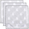 miffy }CNt@Co[ӂ