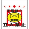 19059258