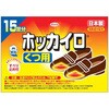 ホッカイロくつ用15足分 興和新薬ヘルスケア