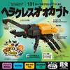フィギュア付き 昆虫 ヘラクレスオオカブト シルバーバック