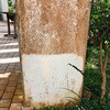 19111246,19111465