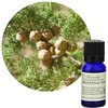 フレーバーライフ 精油 サイプレス 10mL フレーバーライフ