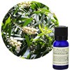フレーバーライフ 精油 カユプテ 10mL フレーバーライフ