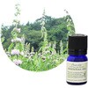 フレーバーライフ 精油 薄荷 3mL フレーバーライフ
