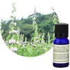 フレーバーライフ 精油 薄荷 10mL フレーバーライフ