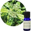 フレーバーライフ 精油 レモンマートル 10mL フレーバーライフ