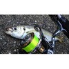 0.2 1lb WbN uCg 200m TICT 19192315