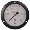 AS1/2-100：10MPA. IPT一般圧力計(設置針 第一計器 G1/2B(PF) A枠(立型