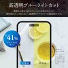 GG-IP23GB iPhone 15 Pro ガラスフィルム 「GOD GLASS 超凰神」 練磨 ブルーライトカット GOD GLASS 19271187