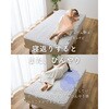 YQS-S(GG) ~ ⊴ ~pbh YAMAZEN(RP) 19303606
