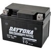 92873 fCginCptH[}Xobe[ DAYTONA(fCgi) 19334105