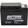 92875 fCginCptH[}Xobe[ DAYTONA(fCgi) 19334123