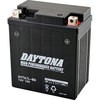 92879 fCginCptH[}Xobe[ DAYTONA(fCgi) 19334166