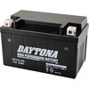 92884 fCginCptH[}Xobe[ DAYTONA(fCgi) 19334218