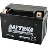 92887 fCginCptH[}Xobe[ DAYTONA(fCgi) 19334245
