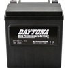 92892 fCginCptH[}Xobe[ DAYTONA(fCgi) 19334297