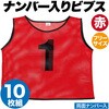 4500 チームベスト アーテック[学校教材・教育玩具] 19403737