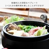 YGE-S100(B) dCO YAMAZEN(RP) 19460439