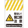 RNTʃ^JW J(ʕʃfUC)